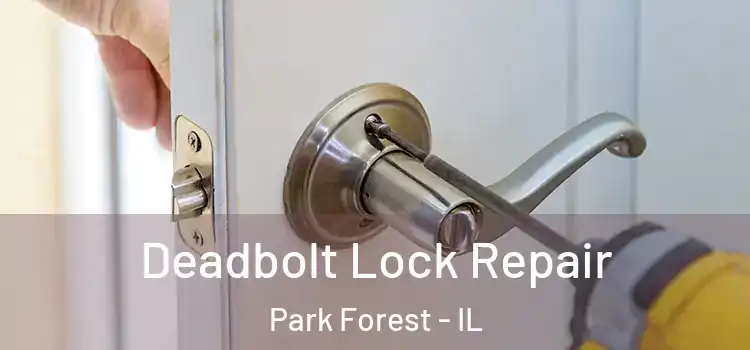 Deadbolt Lock Repair Park Forest - IL