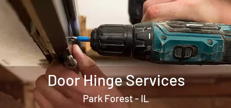 Door Hinge Services Park Forest - IL