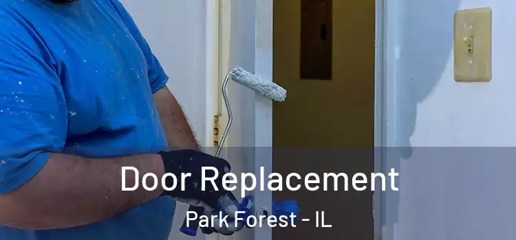Door Replacement Park Forest - IL