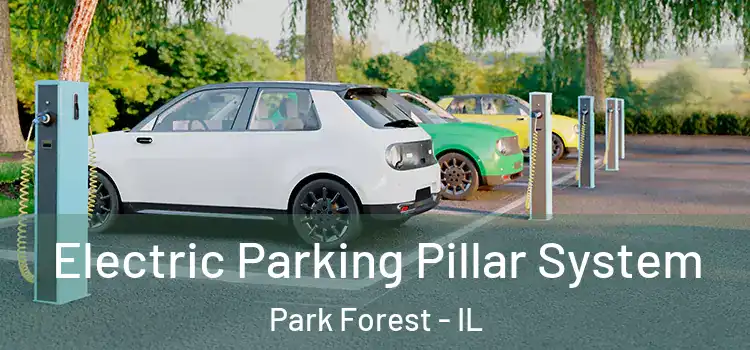 Electric Parking Pillar System Park Forest - IL