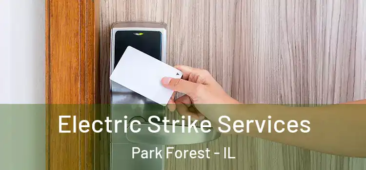 Electric Strike Services Park Forest - IL