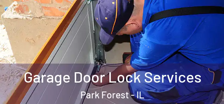 Garage Door Lock Services Park Forest - IL