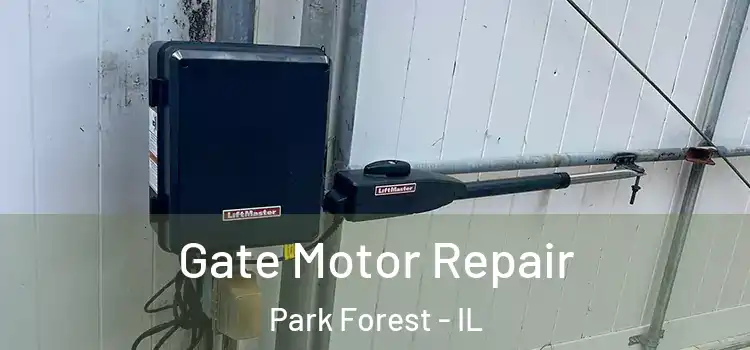 Gate Motor Repair Park Forest - IL