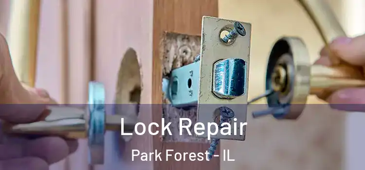 Lock Repair Park Forest - IL