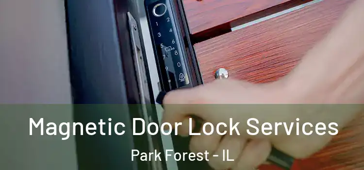 Magnetic Door Lock Services Park Forest - IL