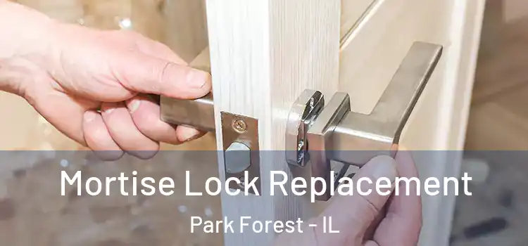Mortise Lock Replacement Park Forest - IL
