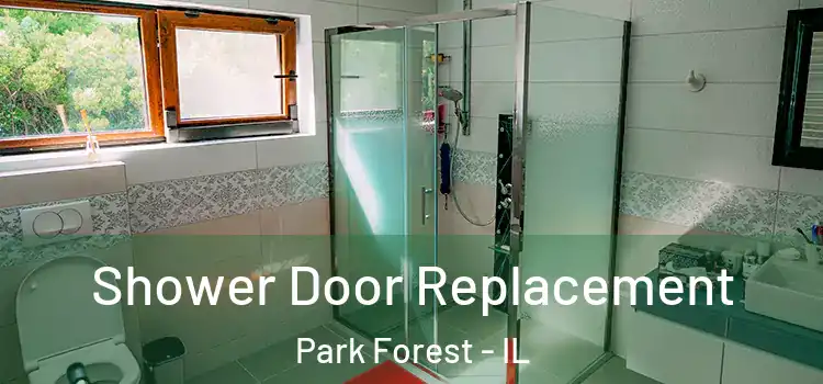 Shower Door Replacement Park Forest - IL
