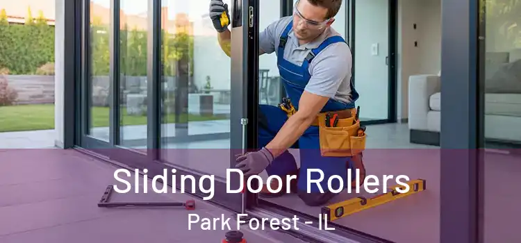 Sliding Door Rollers Park Forest - IL